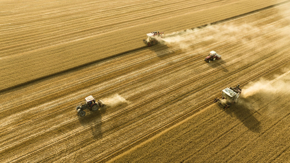 习近平总书记引领中国经济收官“十四五”擘画新蓝图