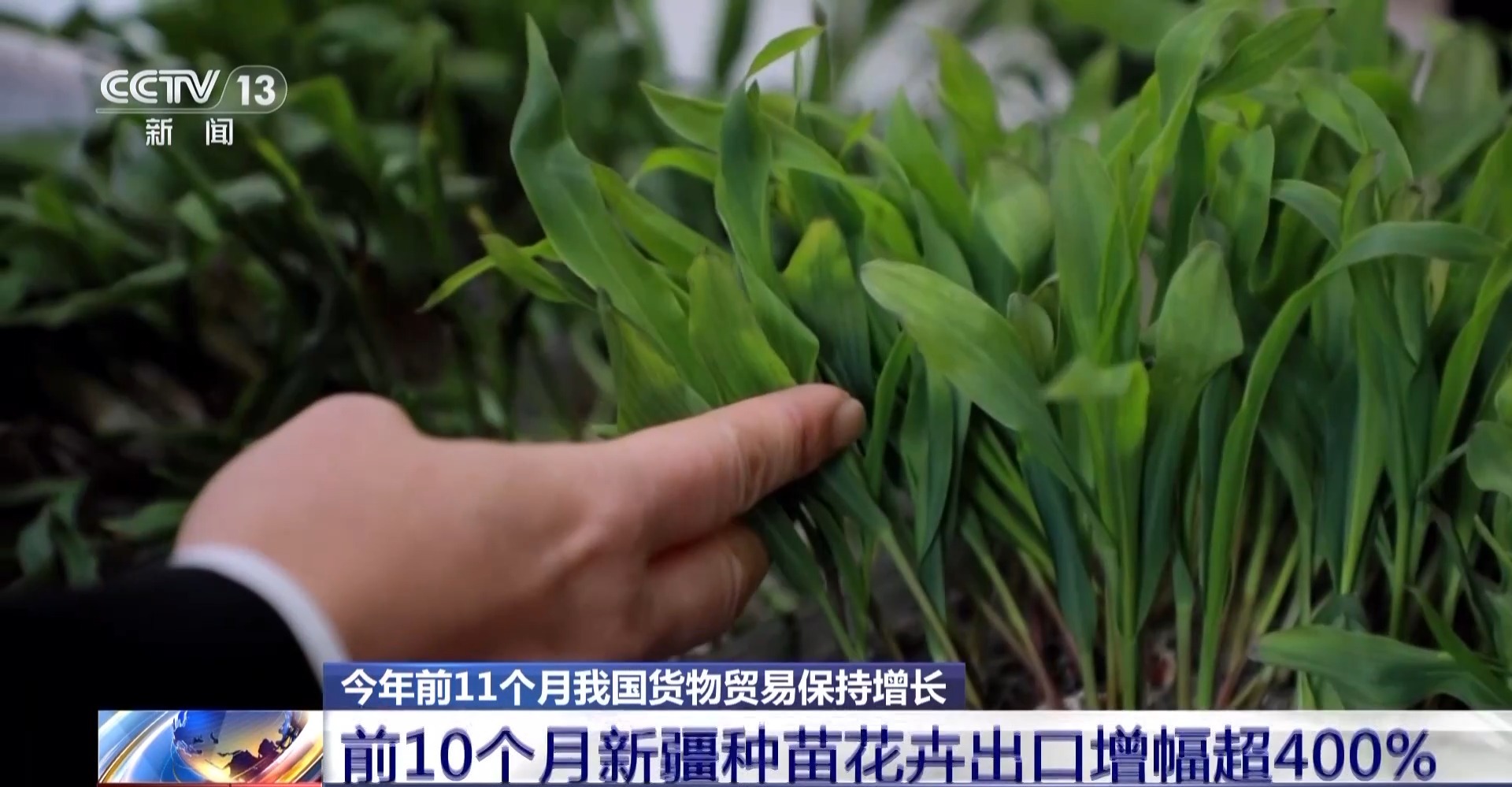 为何前11个月外贸走得稳?三大关键词解读