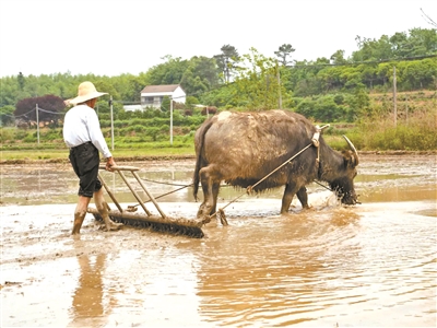 他用5年 拍摄记录1100个村镇