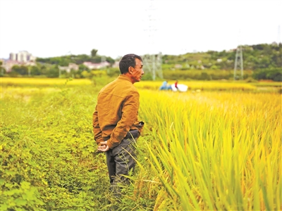 他用5年 拍摄记录1100个村镇