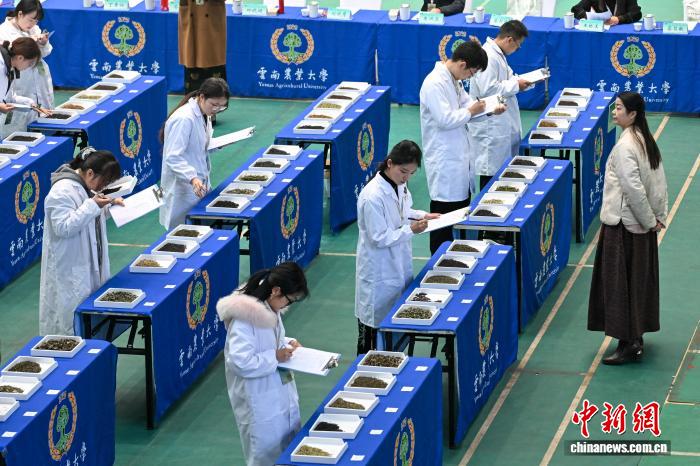 2025全国大学生茶艺技能大赛总决赛在昆明启幕