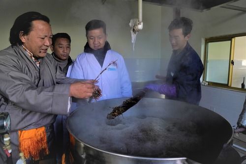 十年十项!这些中国项目列入人类非遗代表作名录 十年十项!这些中国项目列入人类非遗代表作名录