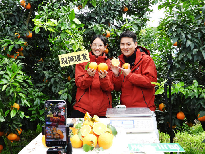 从中央经济工作会议看“十五五”开局之年中国经济着力点 从中央经济工作会议看“十五五”开局之年中国经济着力点