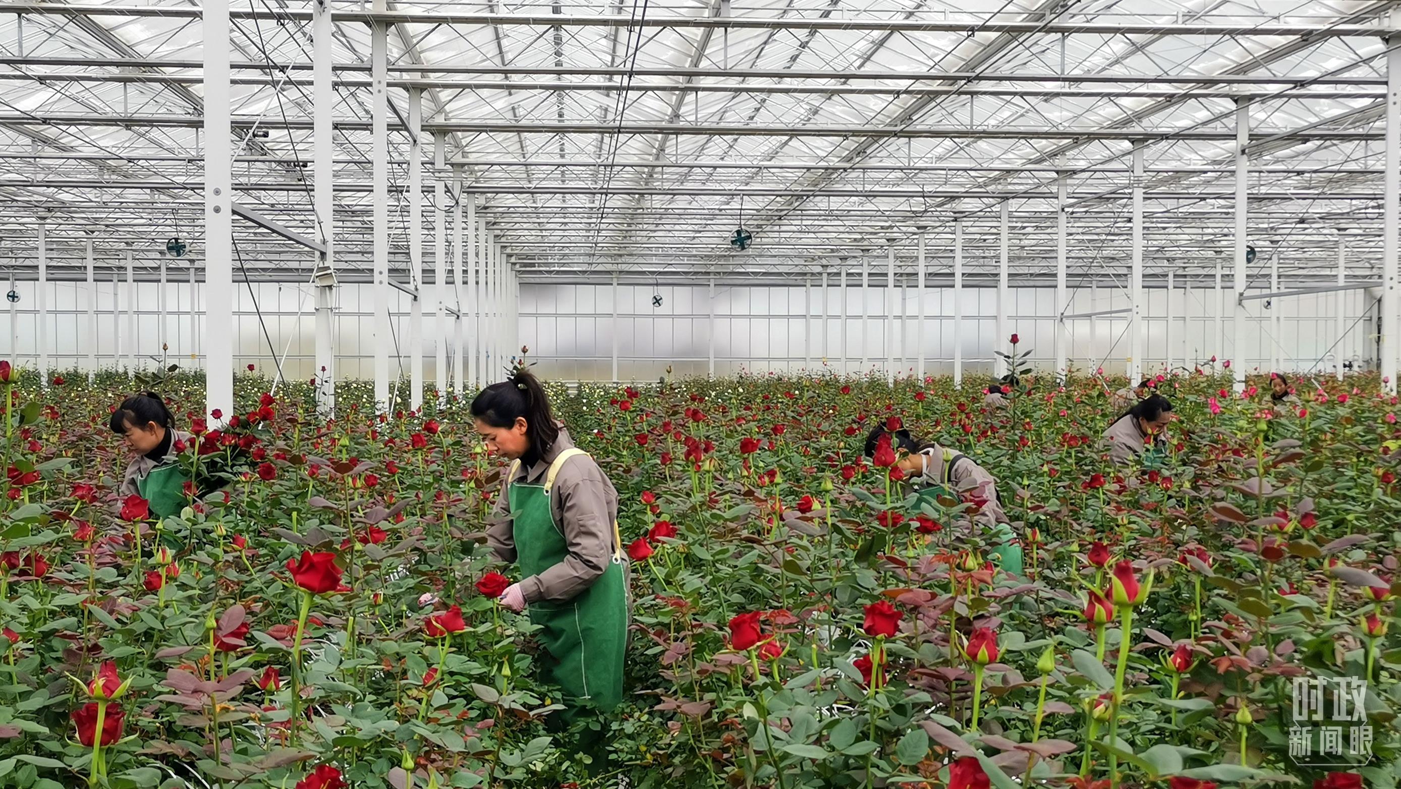 时政新闻眼丨开局之年经济工作有哪些重点?这场会议释放鲜明信号