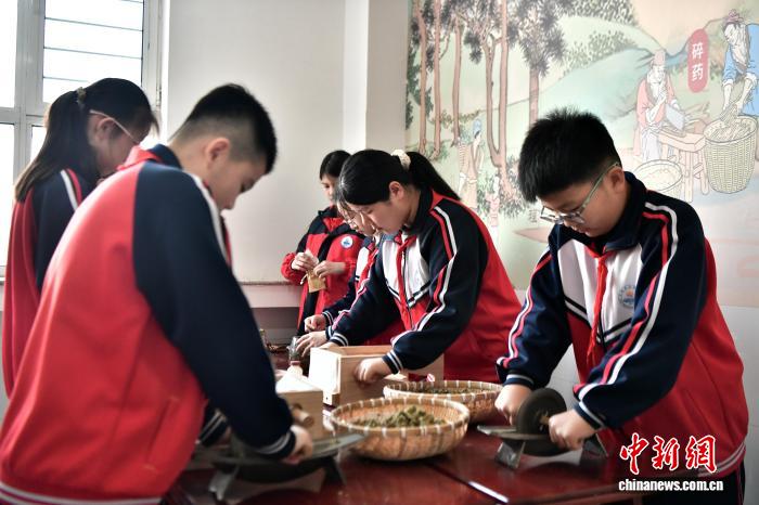 中医药文化浸润校园