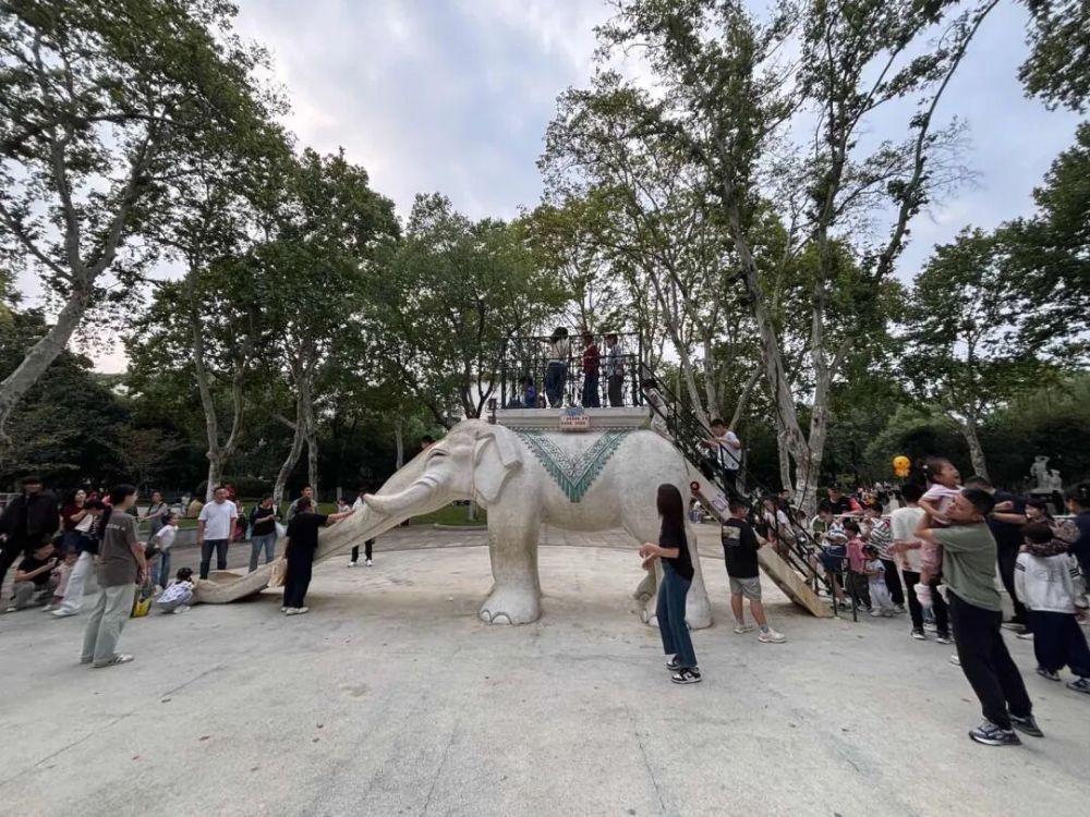 哪张照片，能定义你的2025年？先看看他们的答案