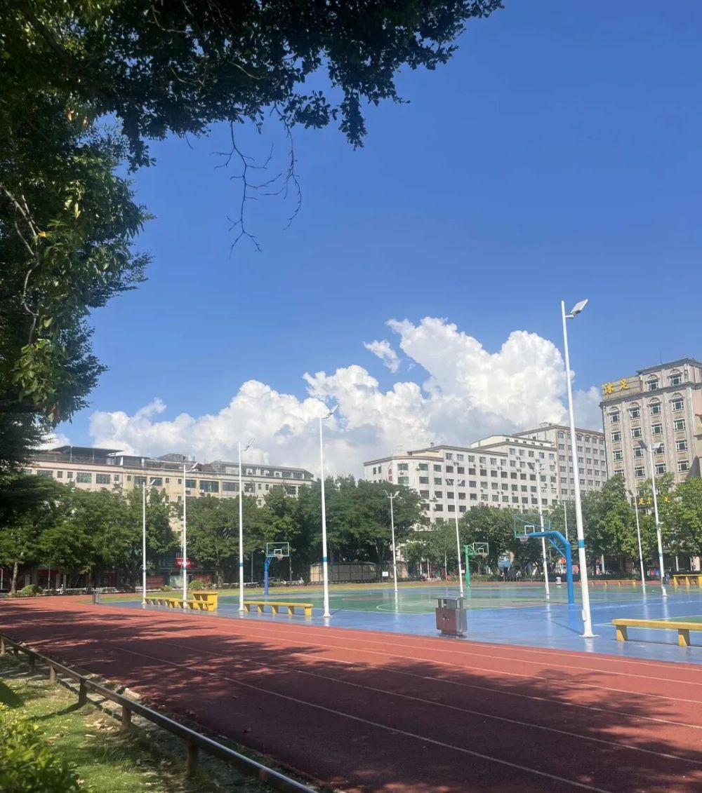 哪张照片，能定义你的2025年？先看看他们的答案