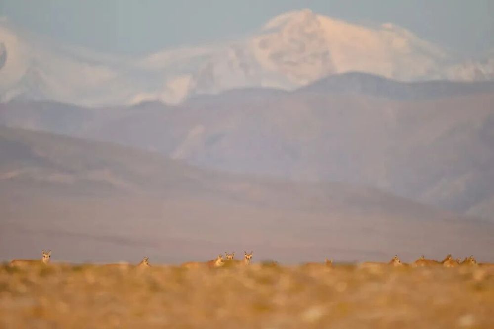 哪张照片，能定义你的2025年？先看看他们的答案