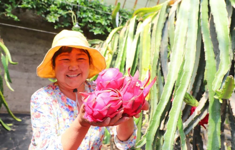 哪张照片，能定义你的2025年？先看看他们的答案