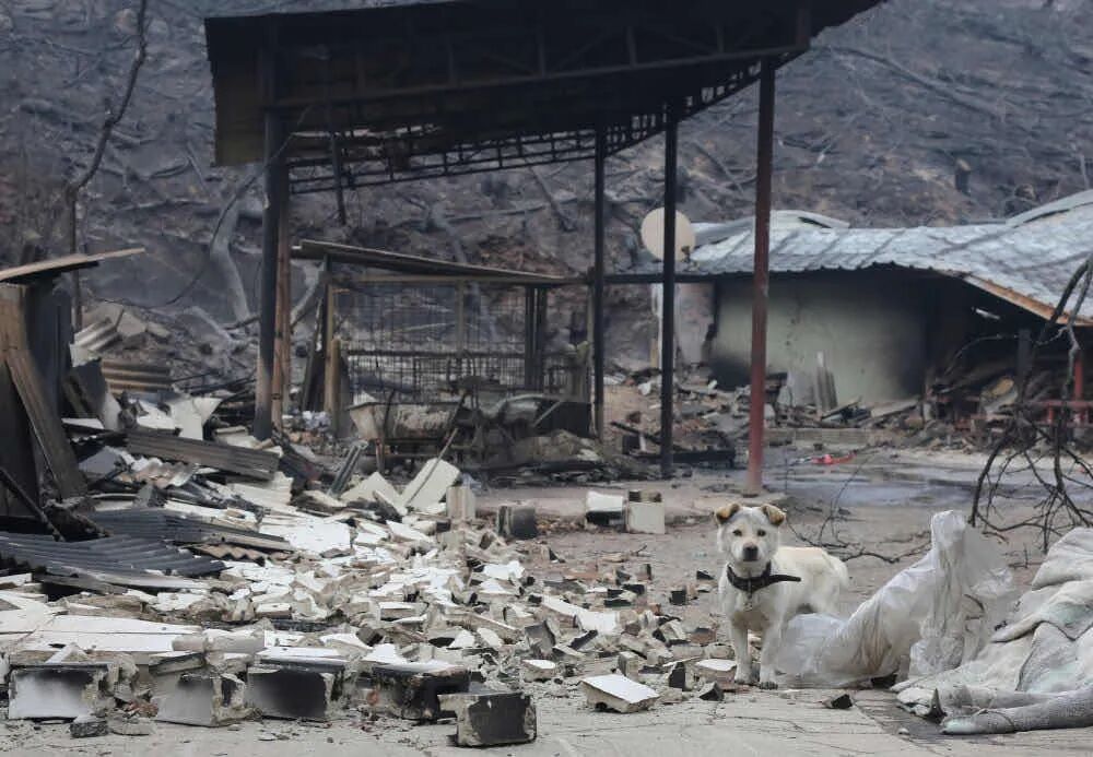 哪张照片，能定义你的2025年？先看看他们的答案