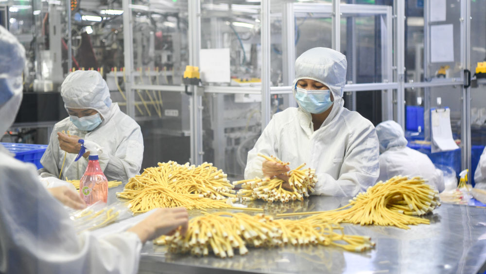 追光|海南自贸港封关运作 为体育产业带来哪些机遇? 追光|海南自贸港封关运作 为体育产业带来哪些机遇?