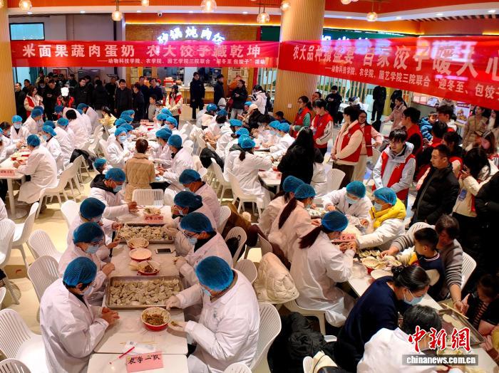 河南农大教师为学生包2000余份冬至饺子迎佳节