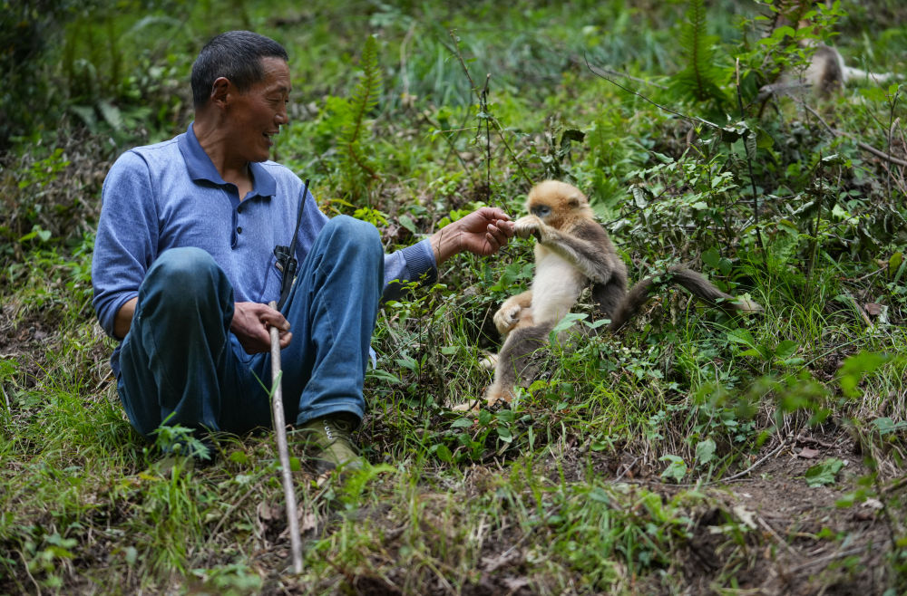 全网刷屏的2025！