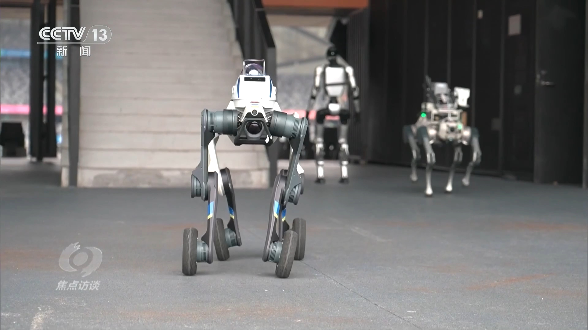 焦点访谈|“智慧大脑”结合“灵活身体” 我国重点布局具身智能产业