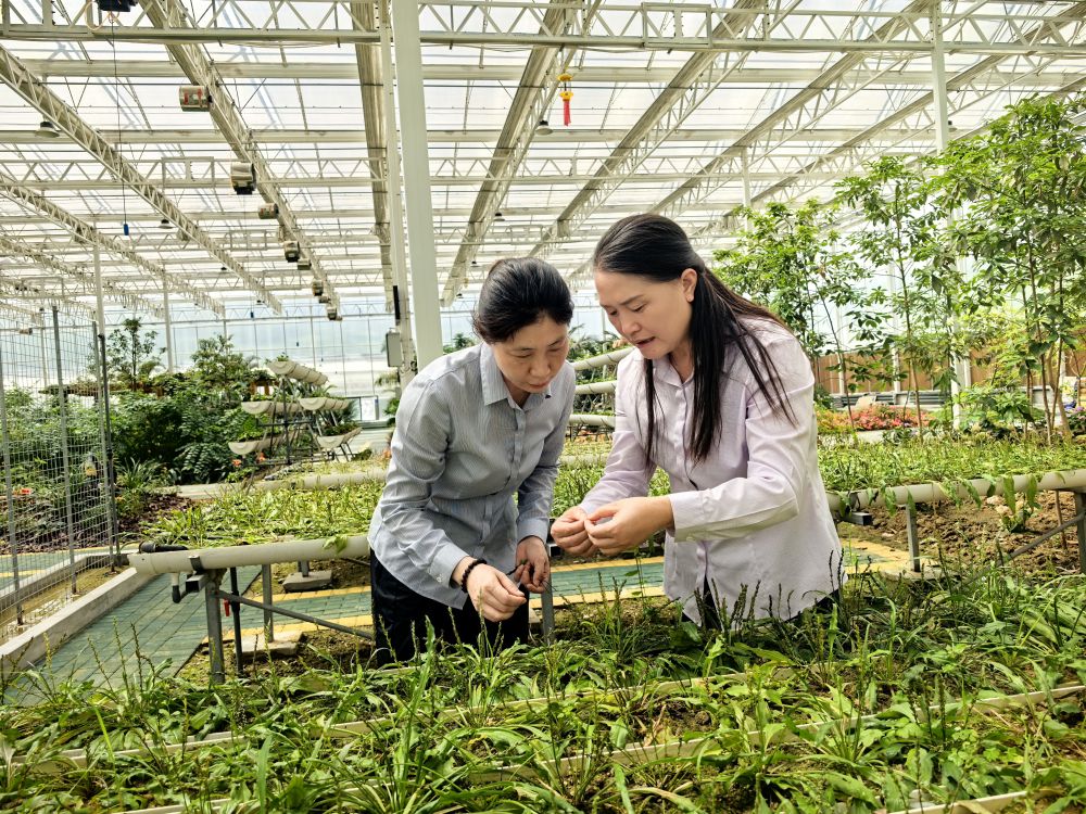 习近平总书记关切事·嘱托｜生态守护者的绿色画卷