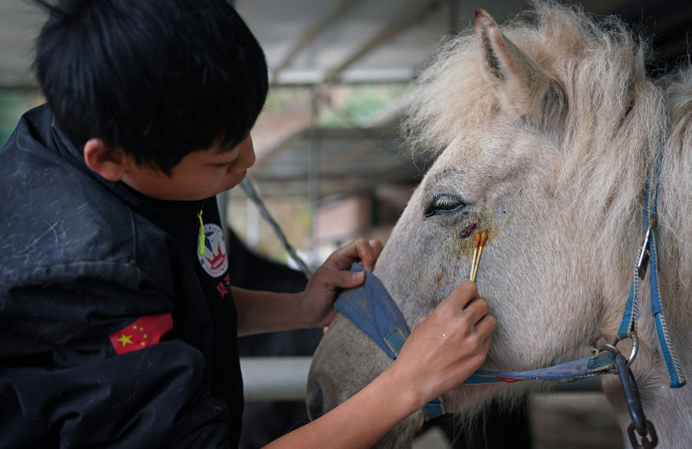 马术让山村青少年握紧“人生缰绳”