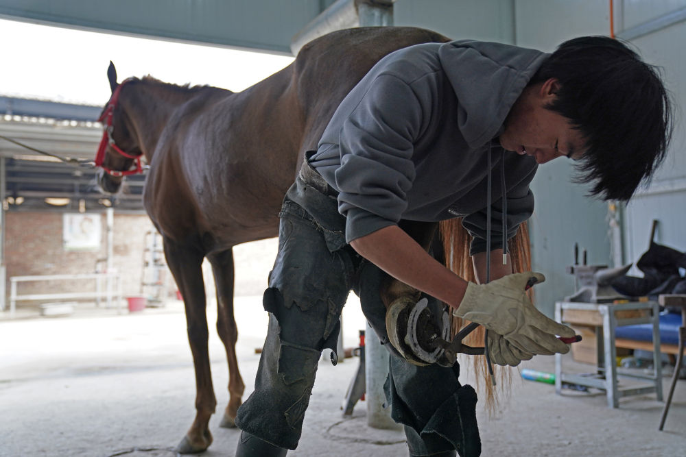 马术让山村青少年握紧“人生缰绳”