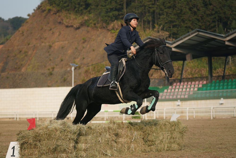 马术让山村青少年握紧“人生缰绳”