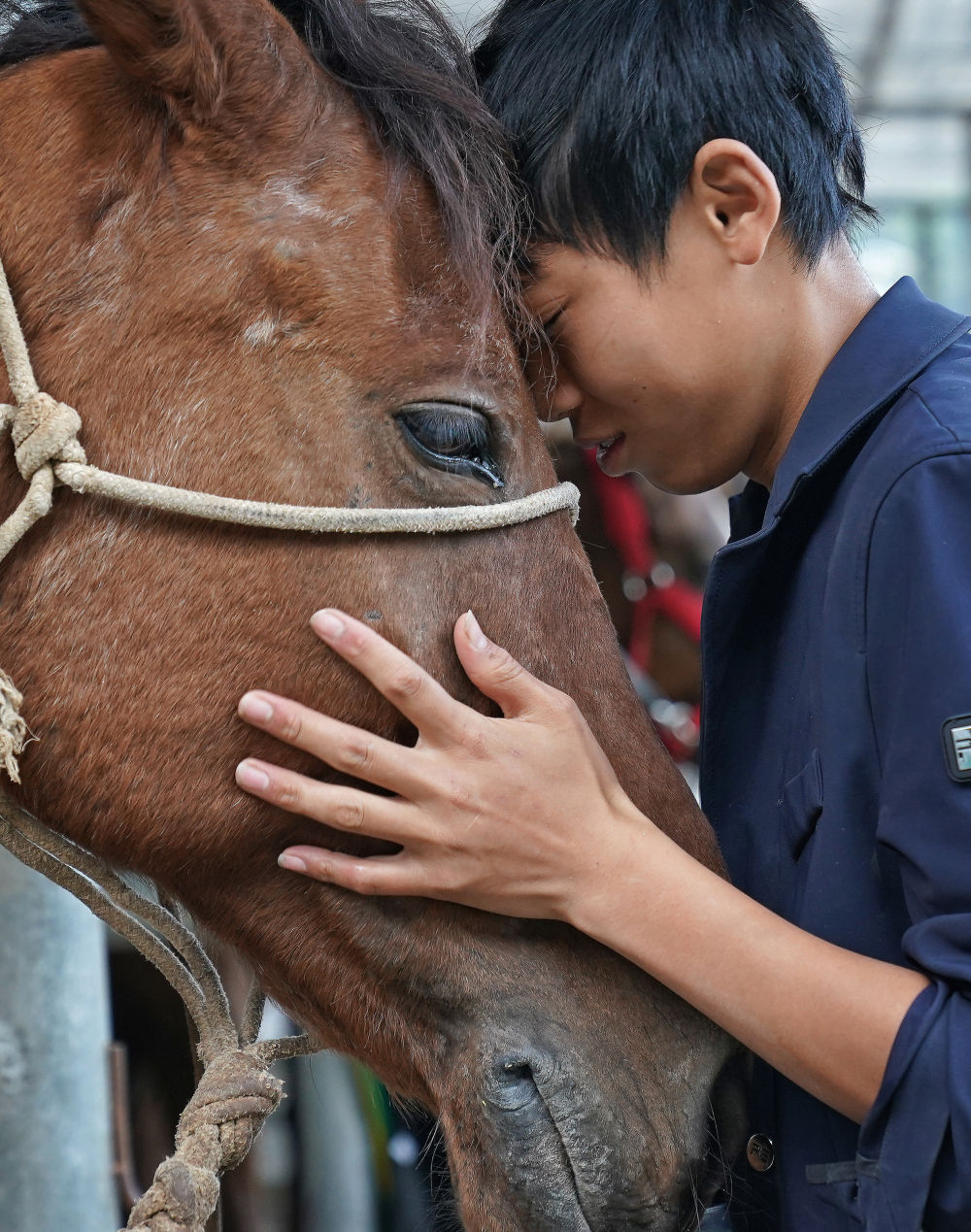 马术让山村青少年握紧“人生缰绳”