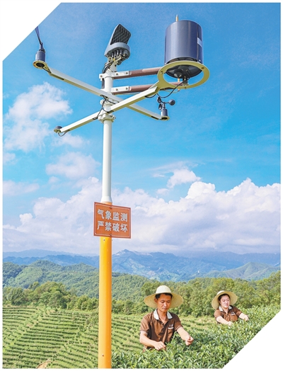 坚持“双碳”引领,推动全面绿色转型(稳中求进、提质增效 实现“十五五”良好开局)