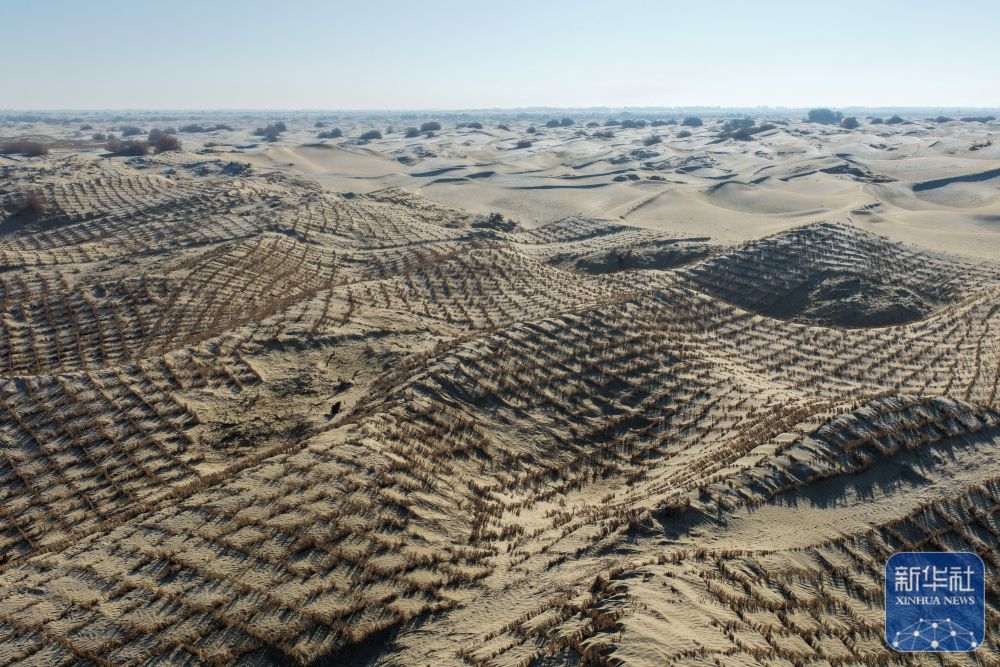 寒冬时节塔克拉玛干治沙正酣 寒冬时节塔克拉玛干治沙正酣