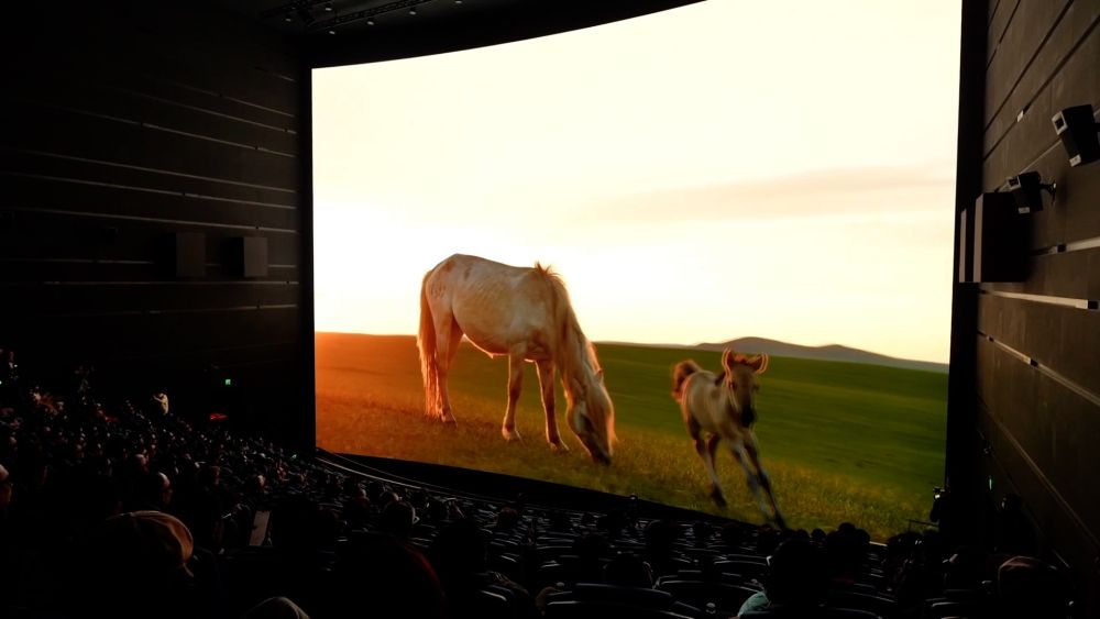 新华视点｜从科技创新到产业升级 多领域协同推进高质量发展