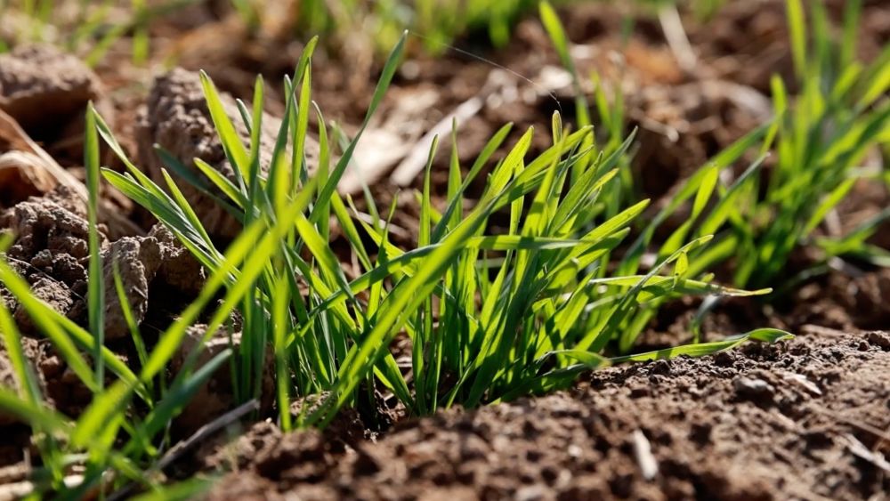 新华视点｜从科技创新到产业升级 多领域协同推进高质量发展