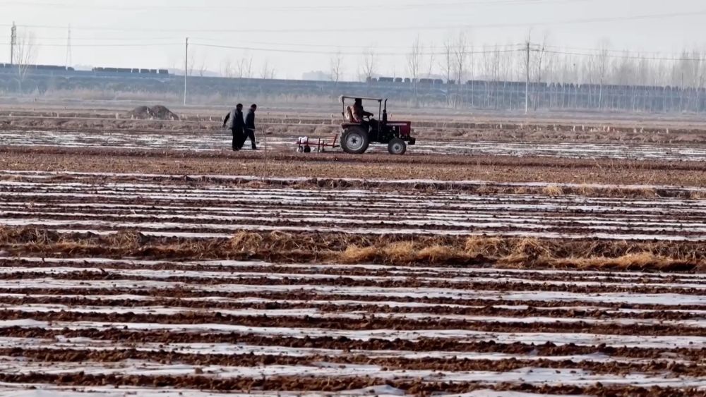 新华视点｜从科技创新到产业升级 多领域协同推进高质量发展