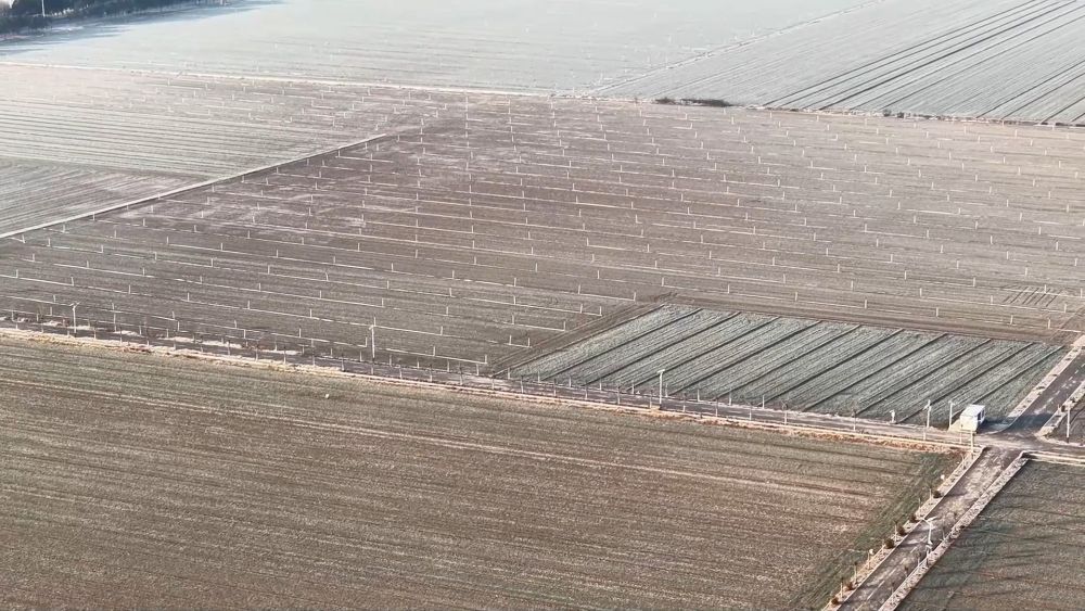 新华视点｜科技赋能 创新引领——产业升级一线观察