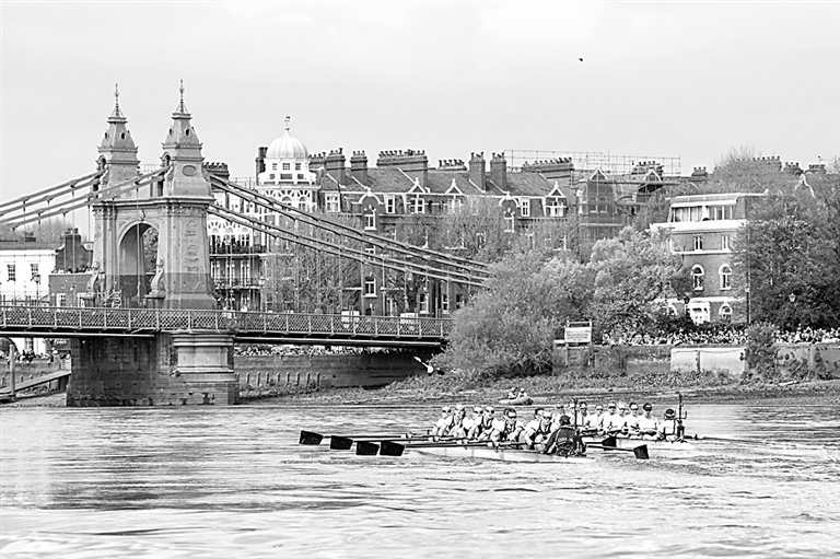 多维赋能：交叉学科人才培养的国际经验