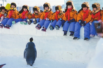 “小砂糖橘”的东北之旅