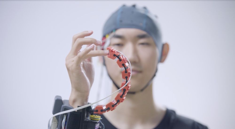 四中全会精神在基层|一间实验室，何以攀登“脑机接口”高峰？