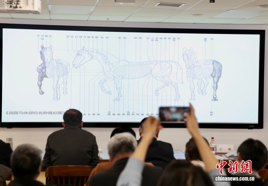 “清华简”最新成果发布 首现中国最早马政文献