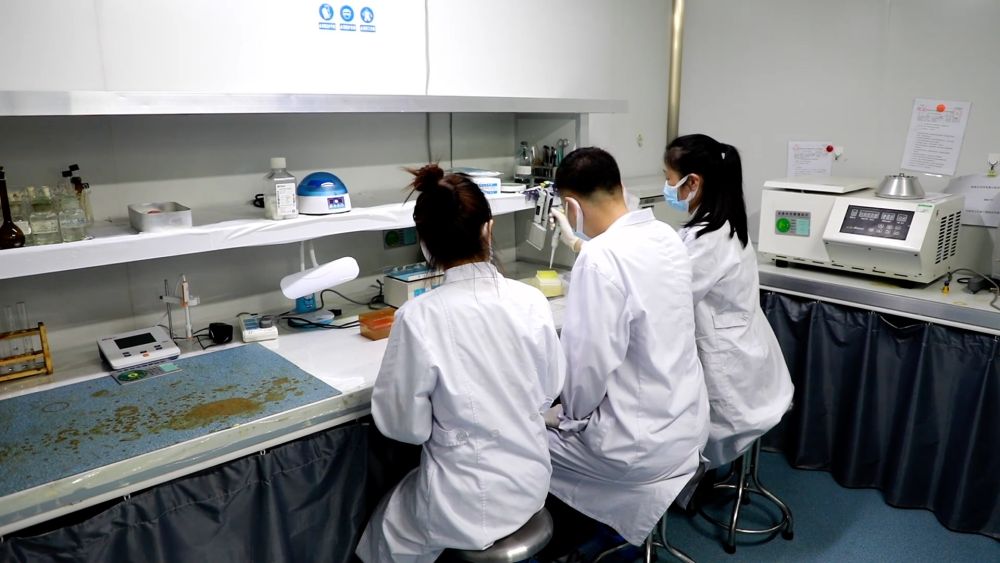 科创“新”力量：新发展理念引领下的中国智造