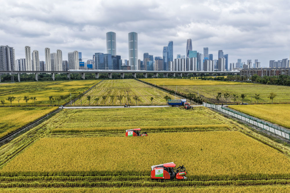 达沃斯论坛:中国为世界提供“机遇清单” 达沃斯论坛:中国为世界提供“机遇清单”