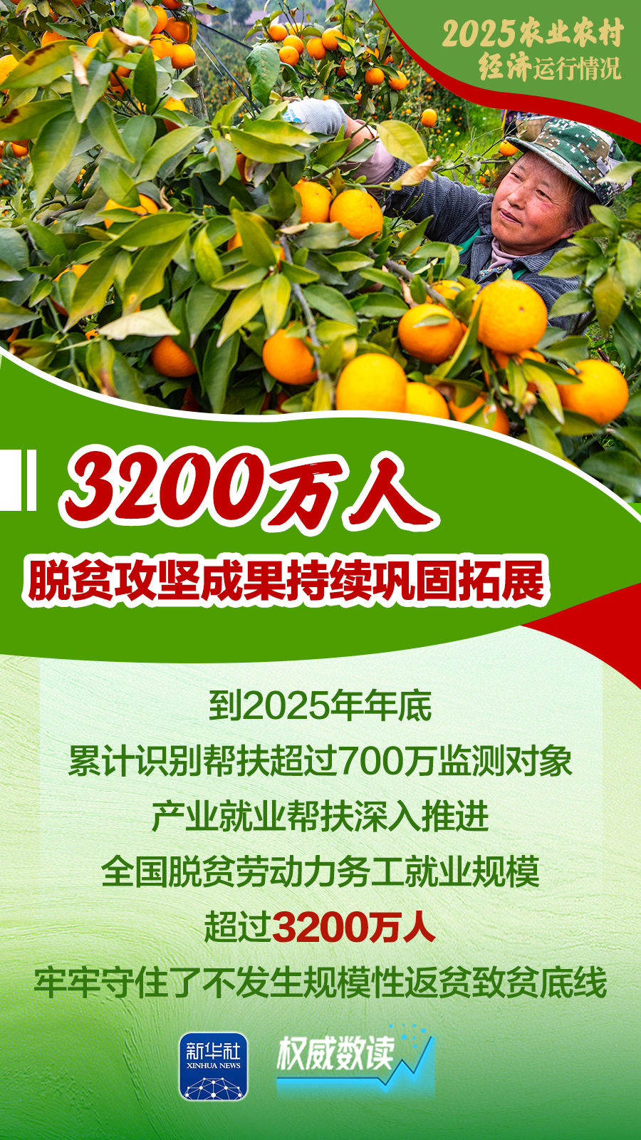 增产、增收、增强!2025农业农村经济运行“成绩单”来了! 增产、增收、增强!2025农业农村经济运行“成绩单”来了!
