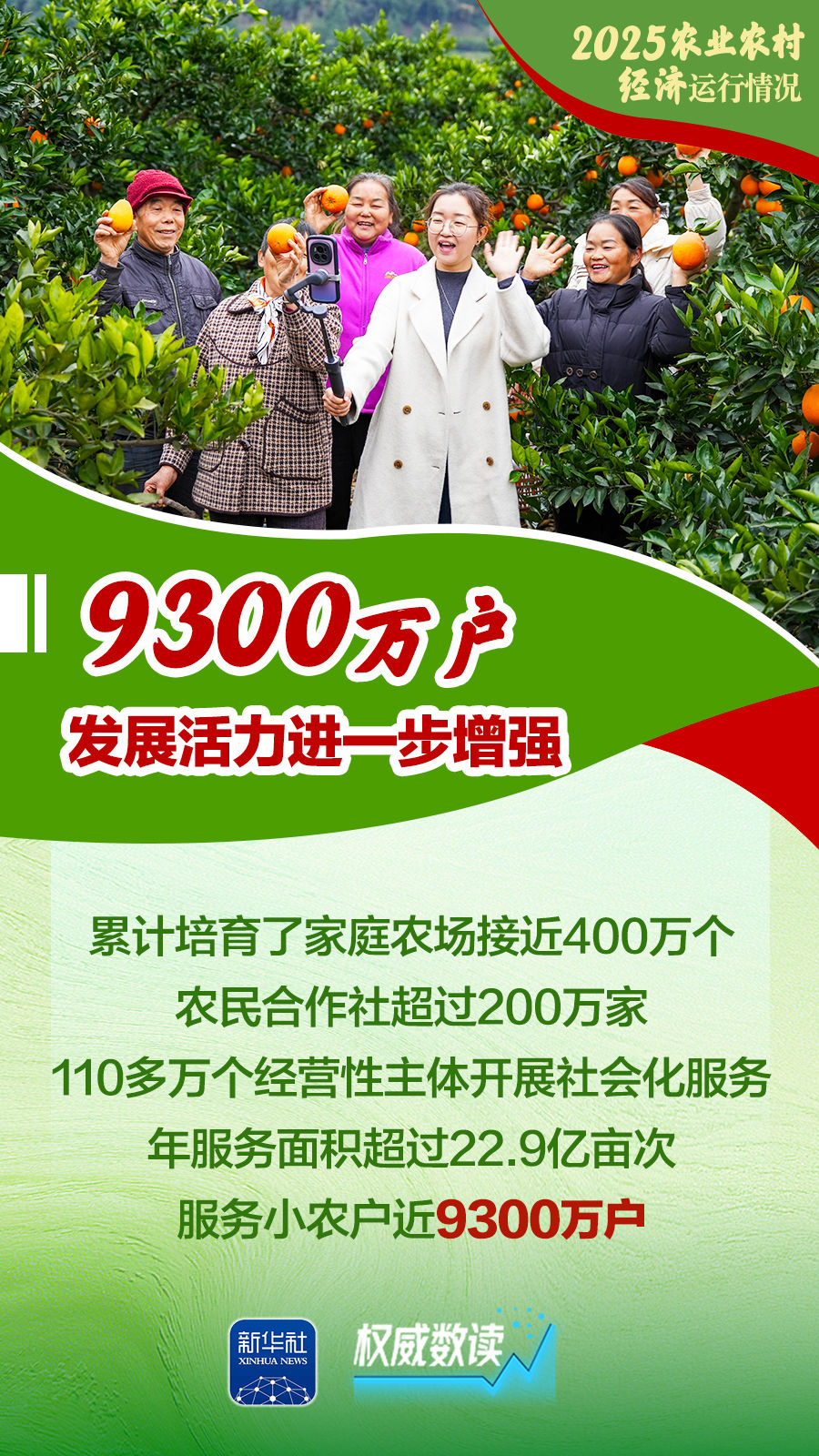 增产、增收、增强!2025农业农村经济运行“成绩单”来了! 增产、增收、增强!2025农业农村经济运行“成绩单”来了!