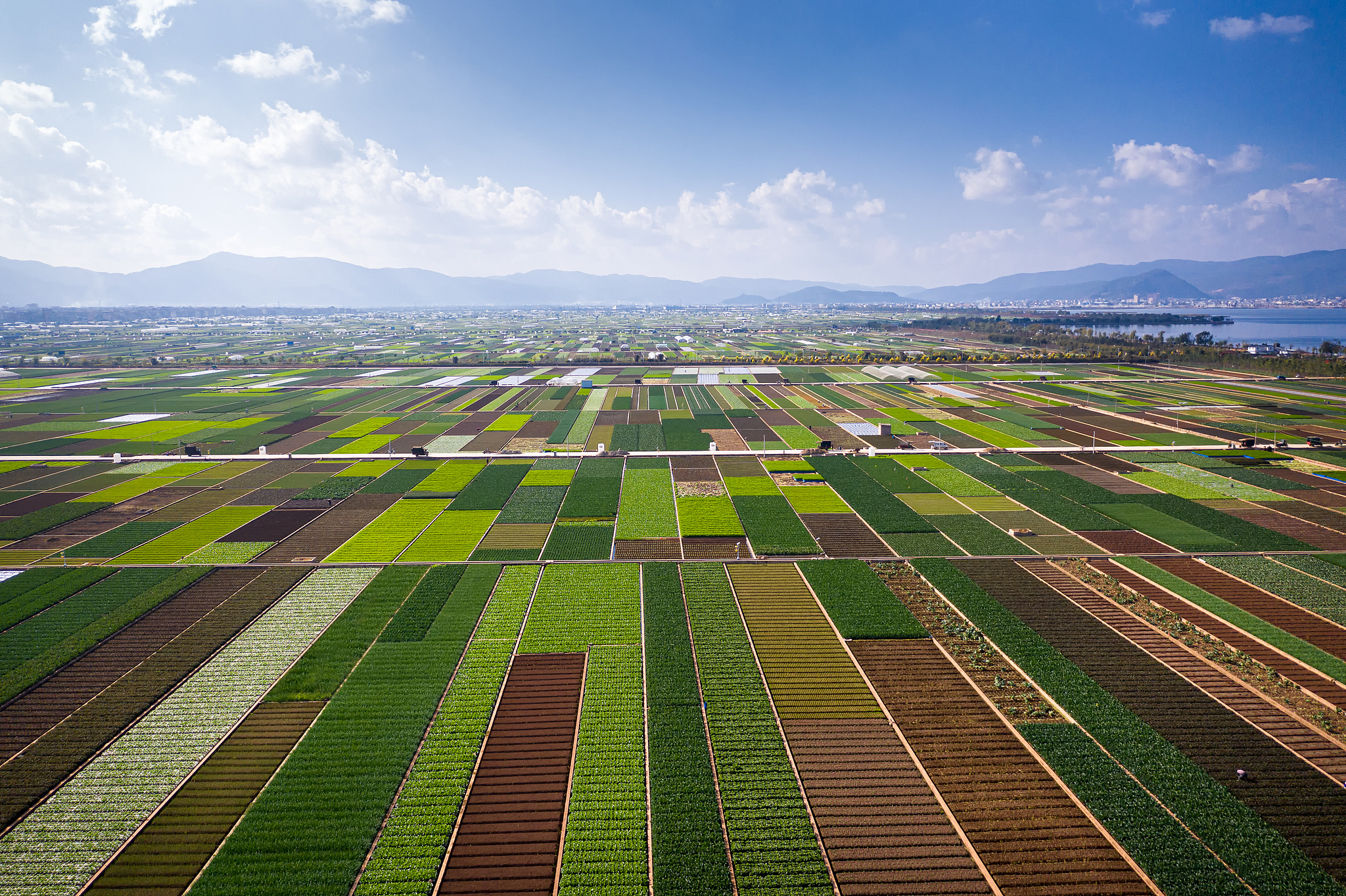 五连增、全球领先!读懂2025知识产权“成绩单”的含金量