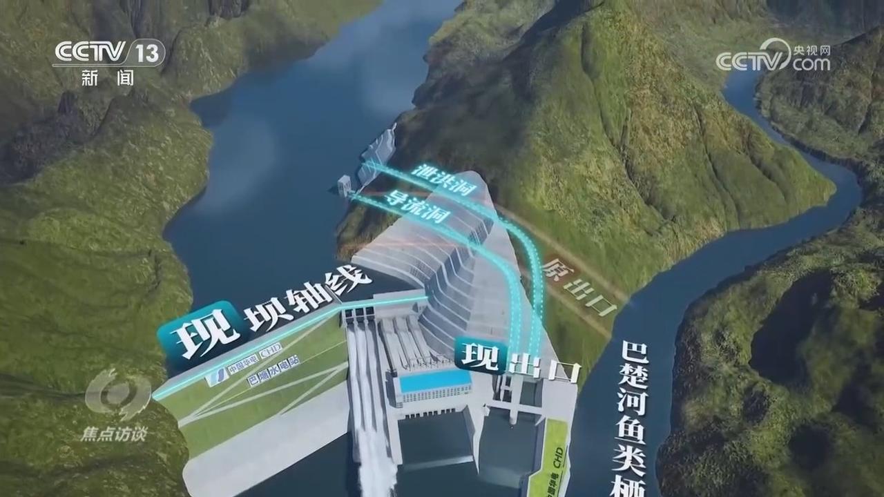 焦点访谈|“刷脸”穿隧洞、坐电梯过大坝……金沙江的鱼儿回家之路为何能畅快通行?