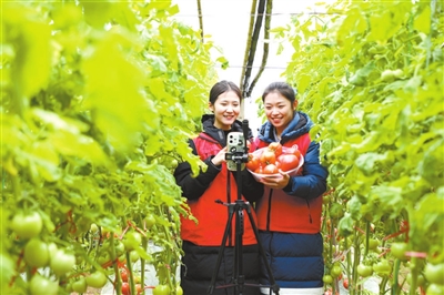 志愿服务过寒假