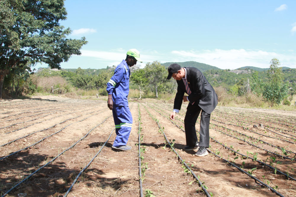 走过峥嵘岁月 共赴现代化新征程——习近平主席复信津巴布韦老战士寄语中非友好续写新篇