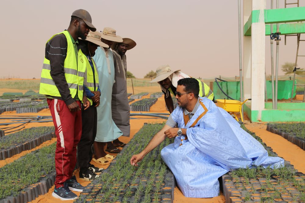 特稿｜同心七十载 聚力新未来——中非携手共逐发展振兴梦