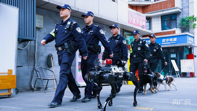 行稳致远开新局丨打造西部重要增长极,“川”潮何以澎湃?