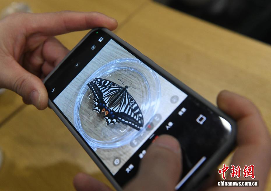 “太空蝴蝶”破蛹飞翔