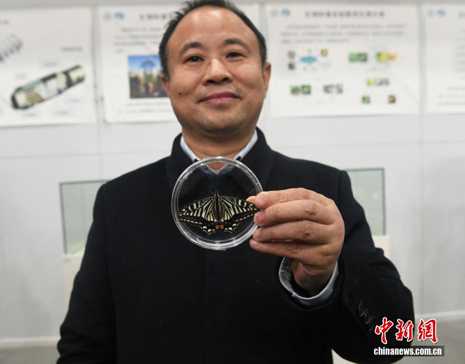 “太空蝴蝶”破蛹飞翔