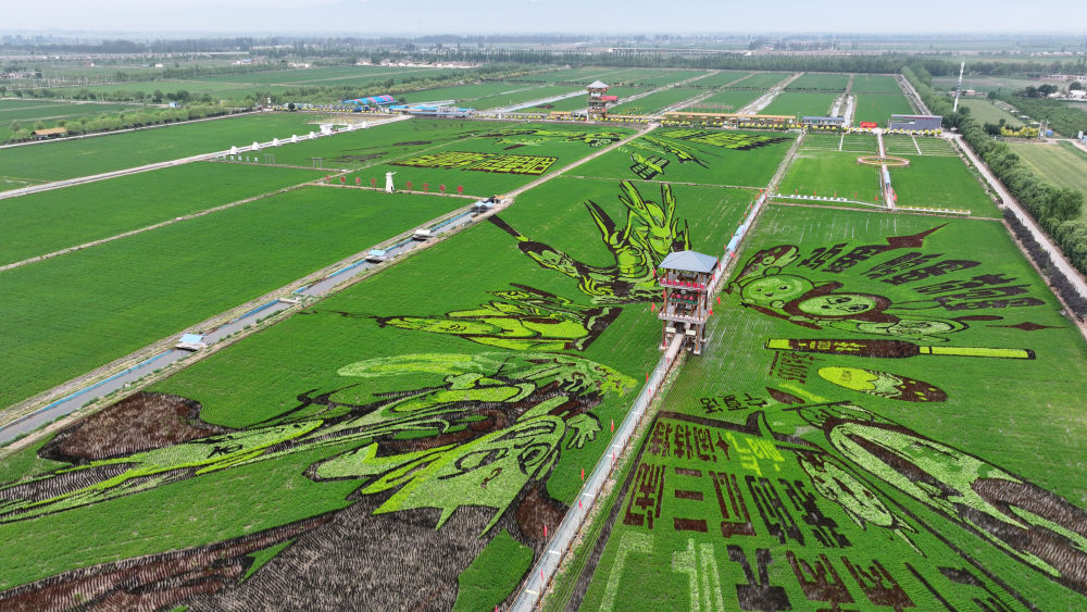 习近平总书记关切事｜幸福花开新农家