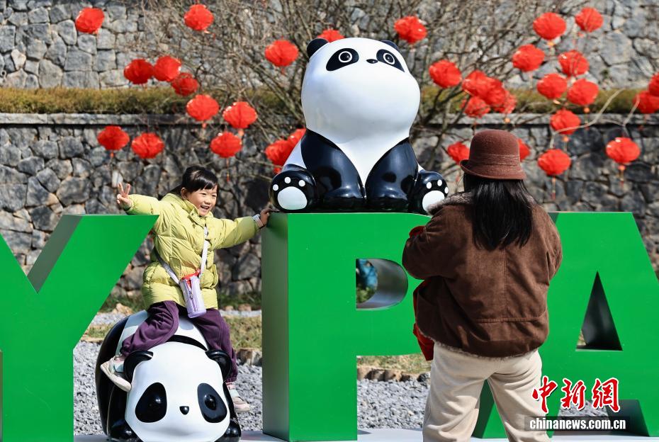 （新春见闻）绵阳中华大熊猫苑新春气氛渐浓