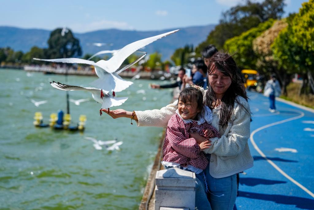 新春“村游”乐