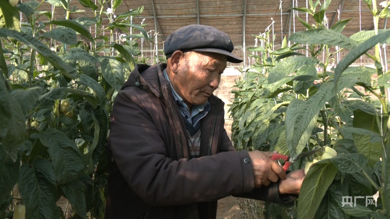 【习声回响】让老百姓幸福就是党的事业