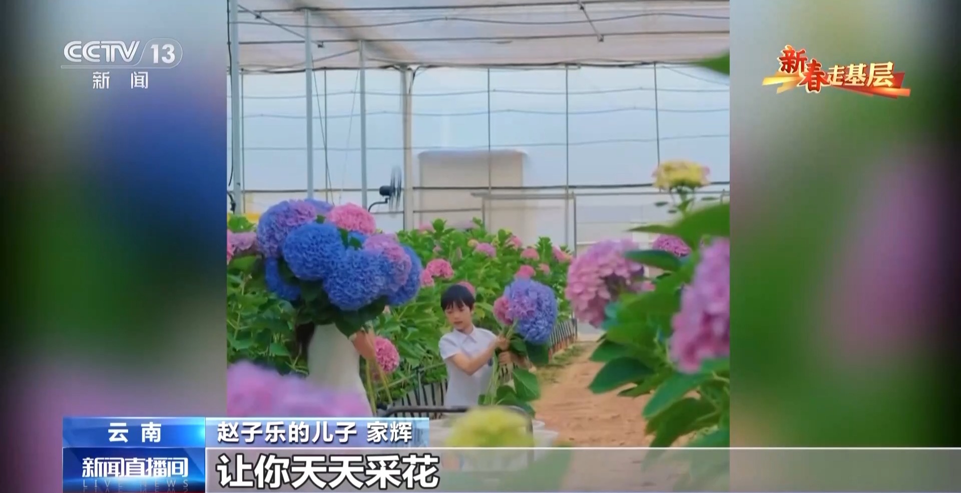 新春走基层丨千里花香递温情 特别的爱给特别的你 新春走基层丨千里花香递温情 特别的爱给特别的你